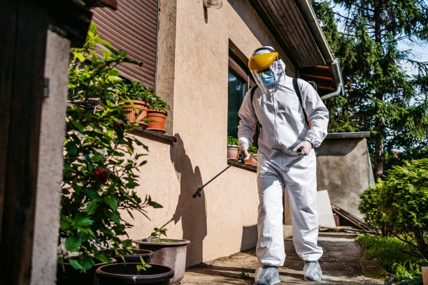 Best Wildlife Control Services  in Olympia, SC