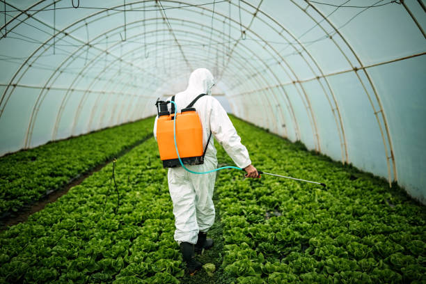 Reliable Olympia, SC Pest Control Solutions