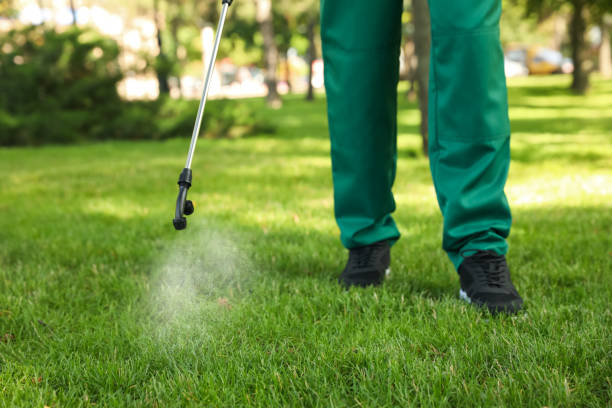 Best Best Pest Control Companies  in Olympia, SC