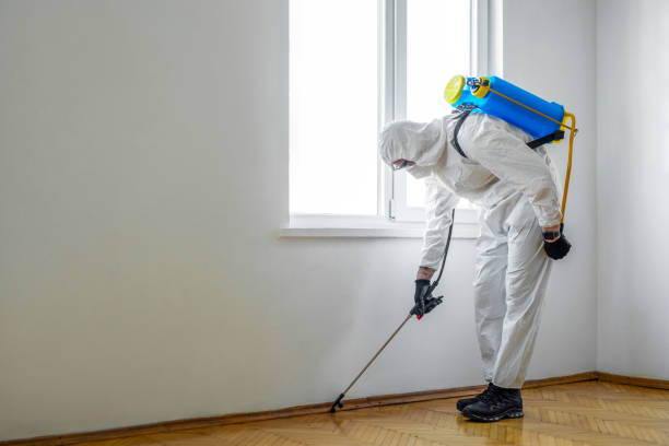 Best Commercial Pest Control Services  in Olympia, SC