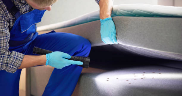 Best Termite Control Services  in Olympia, SC