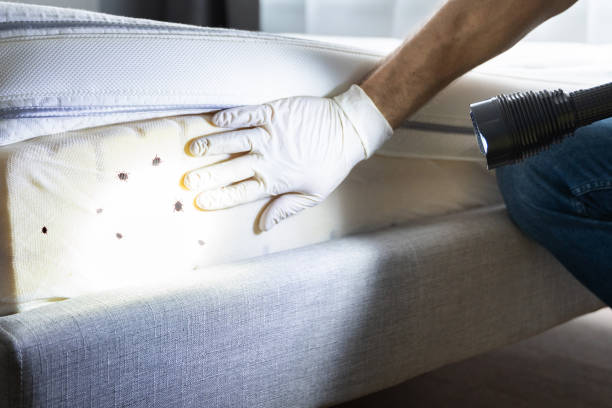 Best Exterminator Services  in Olympia, SC