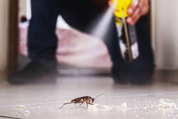 Best Emergency Pest Control  in Olympia, SC